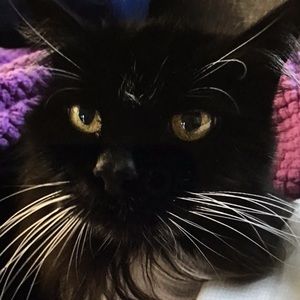 Meet your Posher, Marta